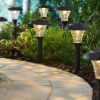 Solar Powered Black Stanford LED Pathway Light, 10 Lumens, (8 Count)